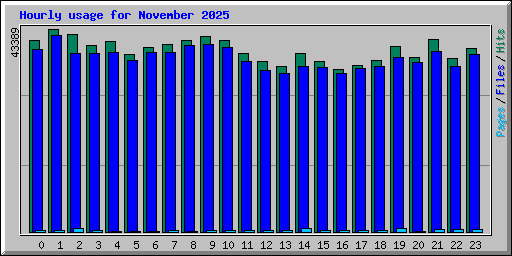 Hourly usage for November 2025